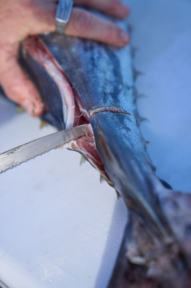 DEXTREME® Dual Edge 10" Stiff fillet knife DX10S with sheath