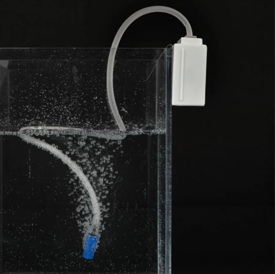 Baby Bubbles - Marine Metal Products