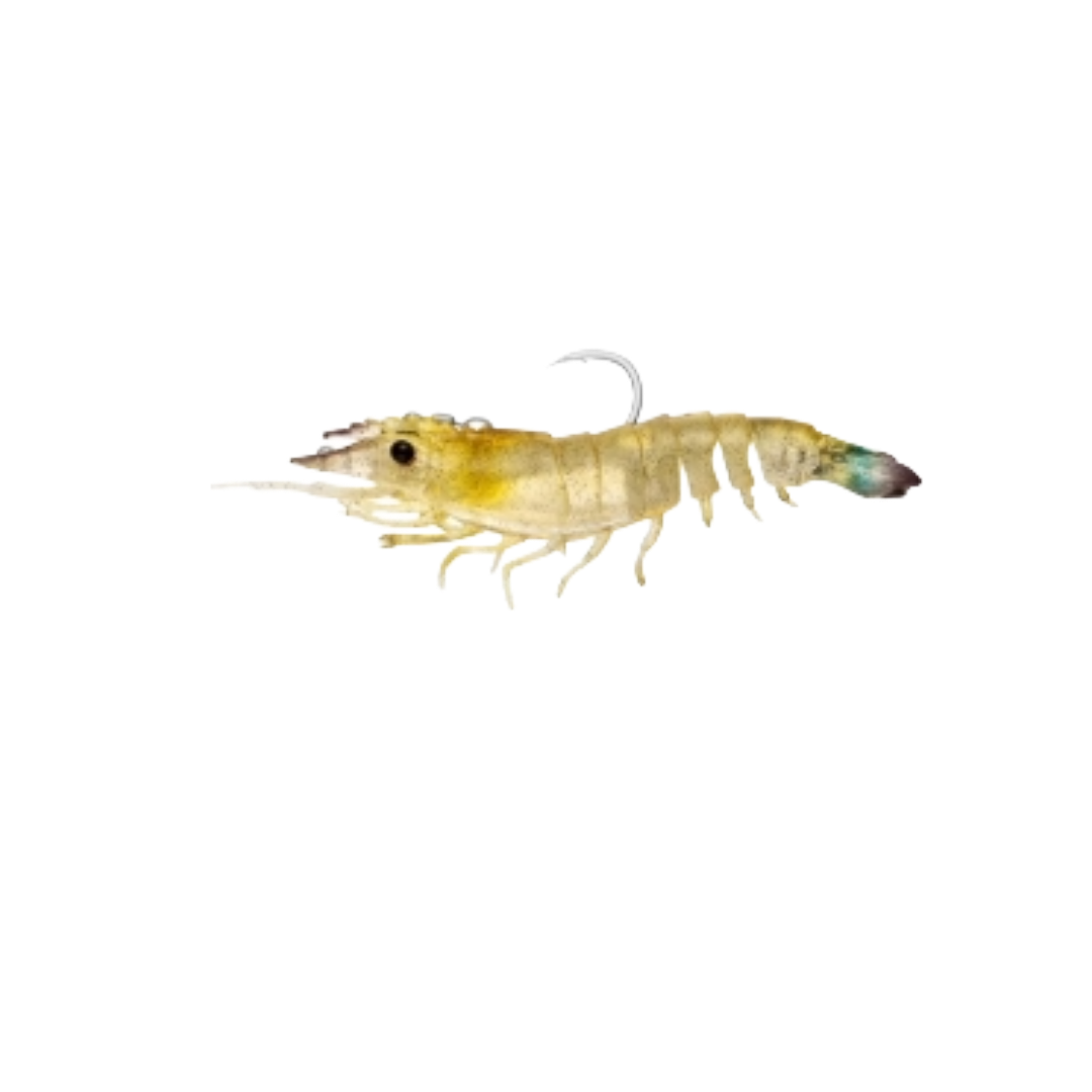 Nomad Design Sumo Shrimp Ultra‑Realistic Soft Shrimp Lure for Saltwater Inshore Fishing