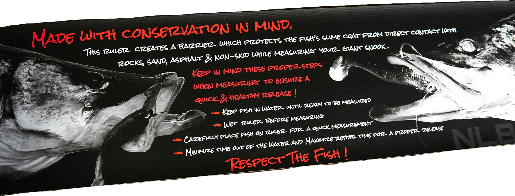 NLBN - Big Snook Ruler